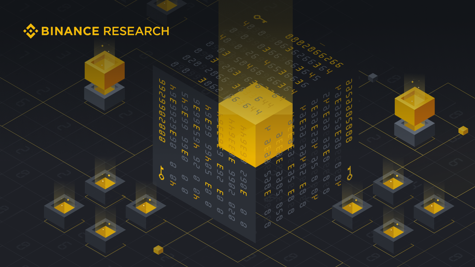 Aptos and Sui - The New Kids on the Block