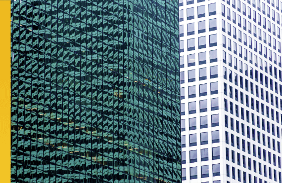 Are Cryptoassets Highly Correlated?